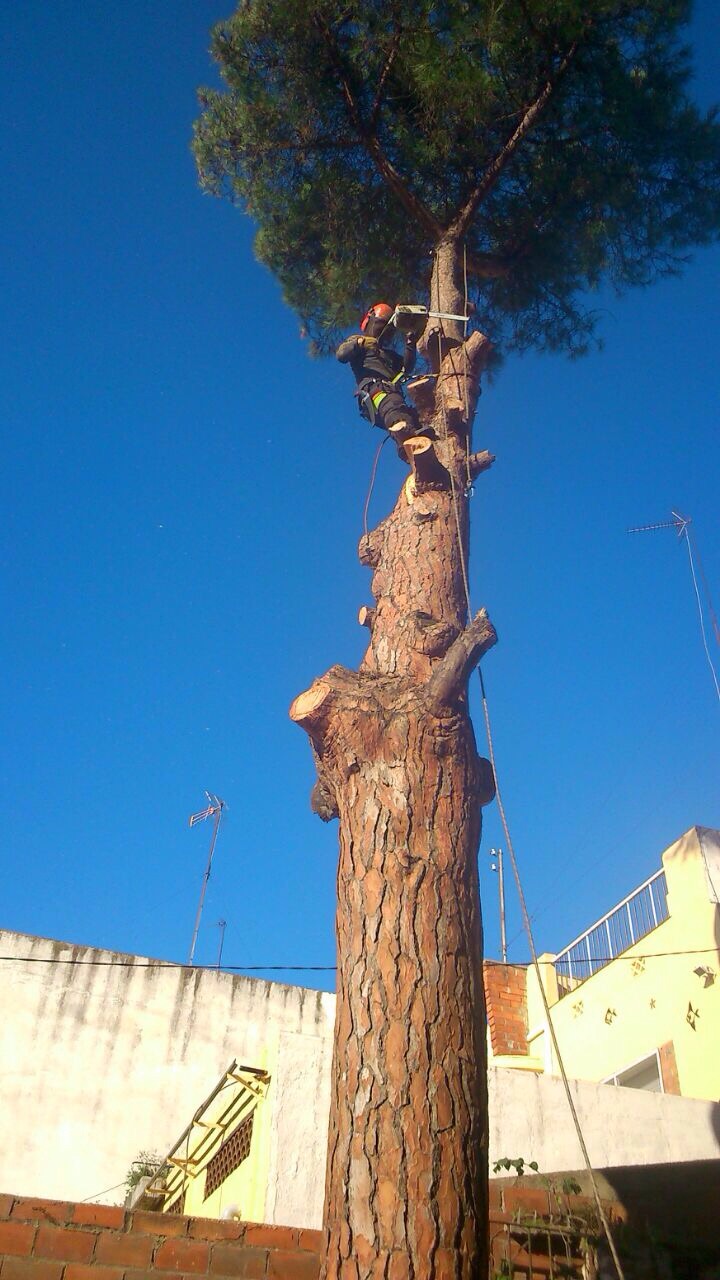 limpieza+jardin+terrenos+parcelas+cesped+riego+automatico