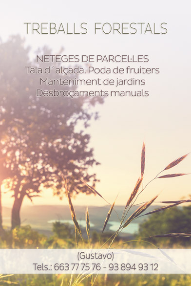 663(777)576,CORTE,DE,ARBOLES,LIMPIEZAS DE FINCAS EN EL PERELLO